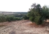Terreno no urbanizable en venta en la España, Villargordo, ref: TR219833 foto