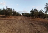 Terreno no urbanizable en venta en la España, Villargordo, ref: TR219833 foto