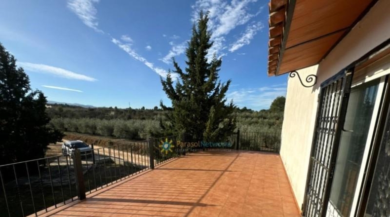 Valencia - el Palomar - 40890m2