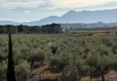 Casa de campo con terreno en venta en la España, Náquera, ref: TR358849 foto