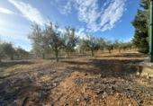 Casa de campo con terreno en venta en la España, Náquera, ref: TR358849 foto