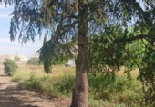 Suelo urbano en venta en la España, Cájar, ref: TR245921 foto