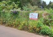 Urban land for sale on España, Tacoronte, ref: TR415018 photo
