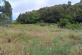 Tacoronte 12119&nbsp;m²