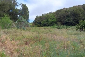 Tacoronte 12119&nbsp;m²