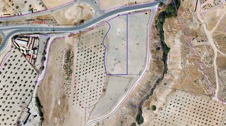 Granada - Los Llanos - 100000m2
