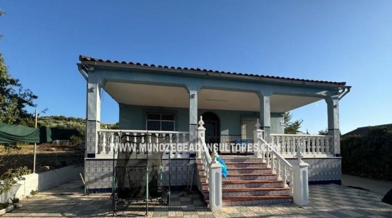 Cordova - Lucena - 1000m2