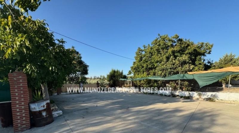 Cordova - Lucena - 1000m2