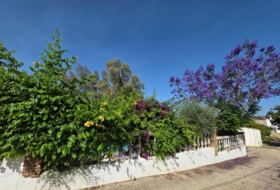 Guaro 2172&nbsp;m²