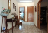Detached villa with land for sale on España, Elche, ref: TR408704 photo
