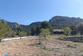Foto 13