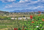 Casa de pueblo en venta en la España, Pacs del Penedès, ref: TR381710 foto