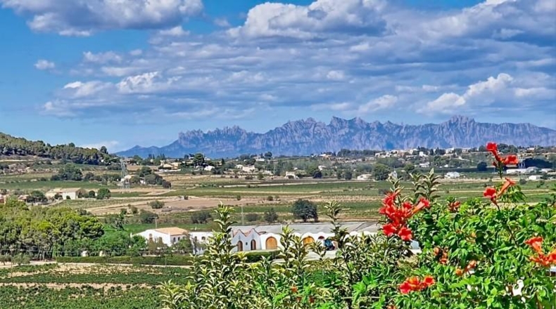 Barcelona - Pacs del Penedès - 413m2