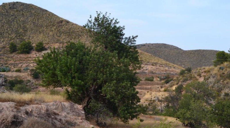 Múrcia - Lorca - 2580000m2