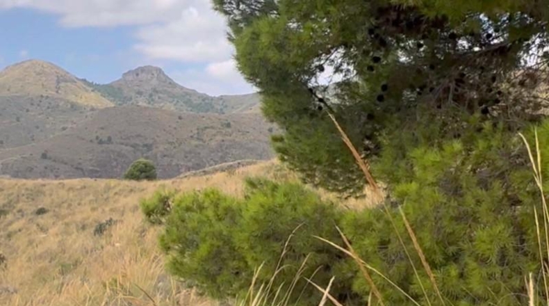 Múrcia - Lorca - 2580000m2