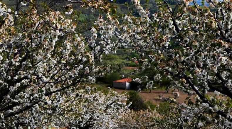 Cáceres - Jarandilla de la Vera - 675m2