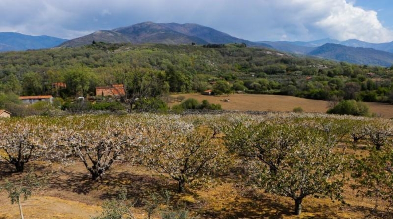 Cáceres - Jarandilla de la Vera - 675m2
