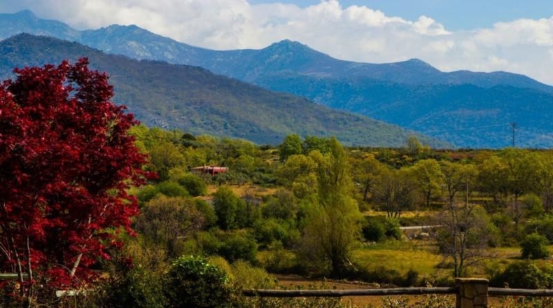 Cáceres - Jarandilla de la Vera - 675m2