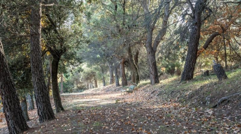 Community of Madrid - Guadarrama - 89645m2
