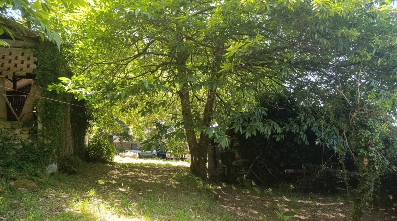 Pontevedra - Rodeiro - 86m2
