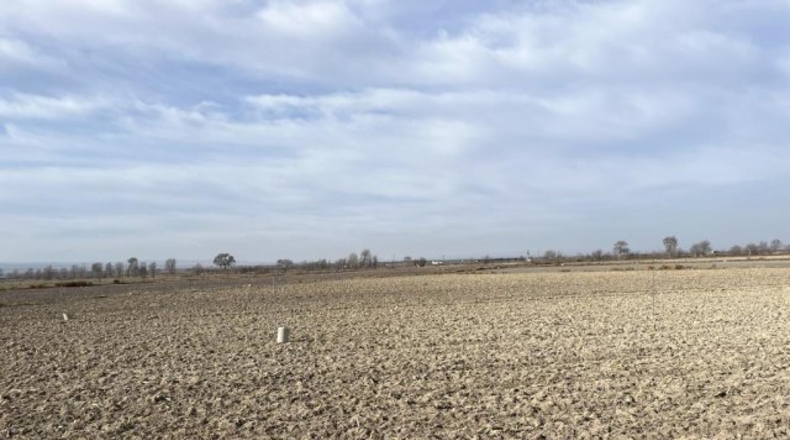 Albacete - Salobre - 50000m2