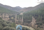 Rural estate for sale in Albacete ref: TR415747 photo