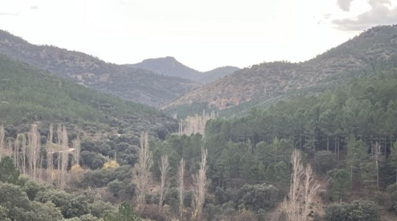 Albacete - Albacete - 435m2