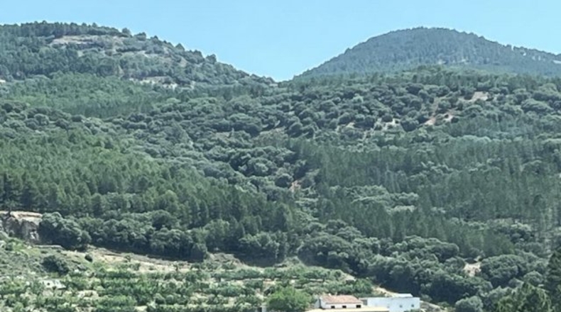 Albacete - Albacete - 435m2