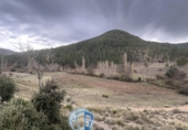 Rural estate for sale in Albacete ref: TR415747 photo
