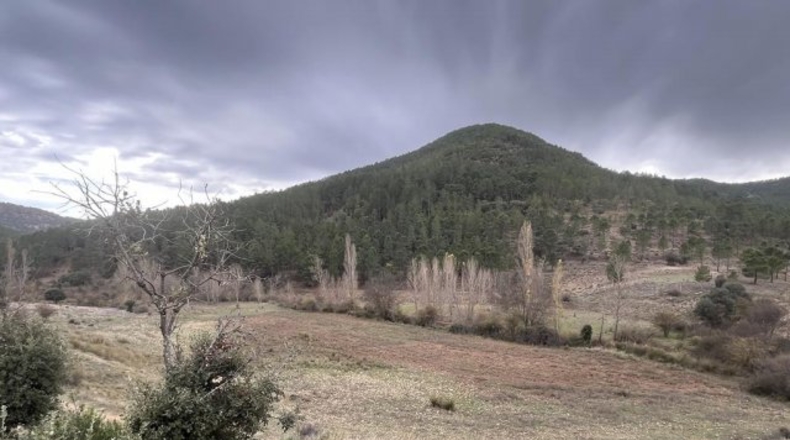 Albacete - Albacete - 435m2