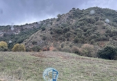 Rural estate for sale in Albacete ref: TR415747 photo