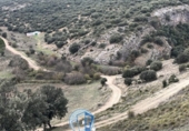 Rural estate for sale in Albacete ref: TR415747 photo