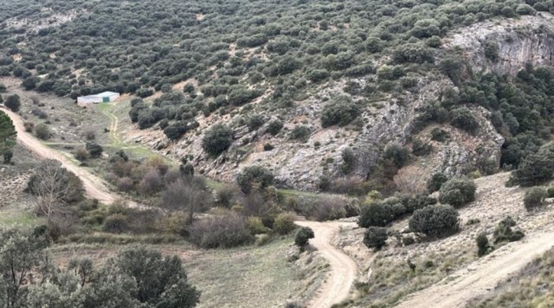 Albacete - Albacete - 435m2