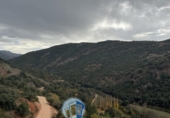 Rural estate for sale in Albacete ref: TR415747 photo