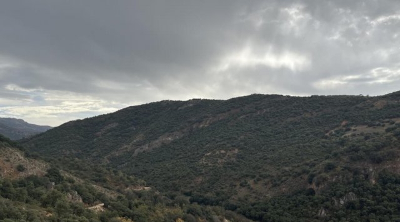 Albacete - Albacete - 435m2