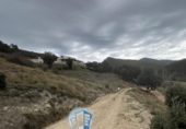 Rural estate for sale in Albacete ref: TR415747 photo