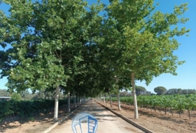 Villarrobledo 136&nbsp;m² 