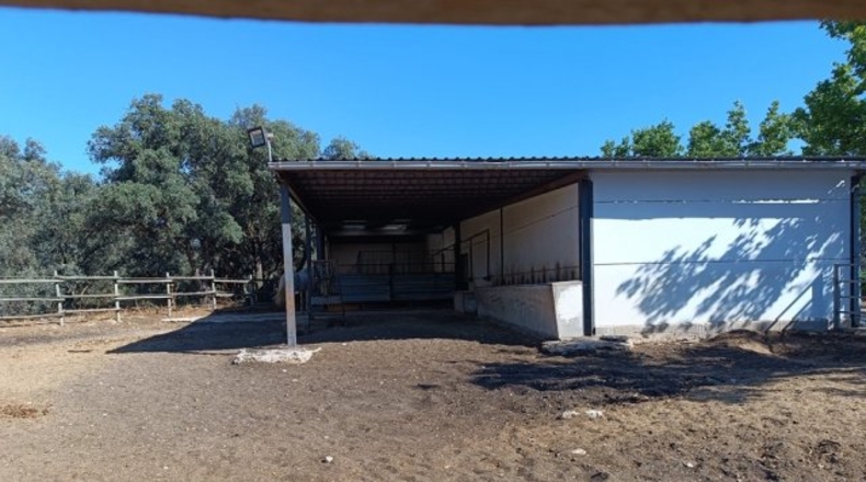 Albacete - Villarrobledo - 136m2