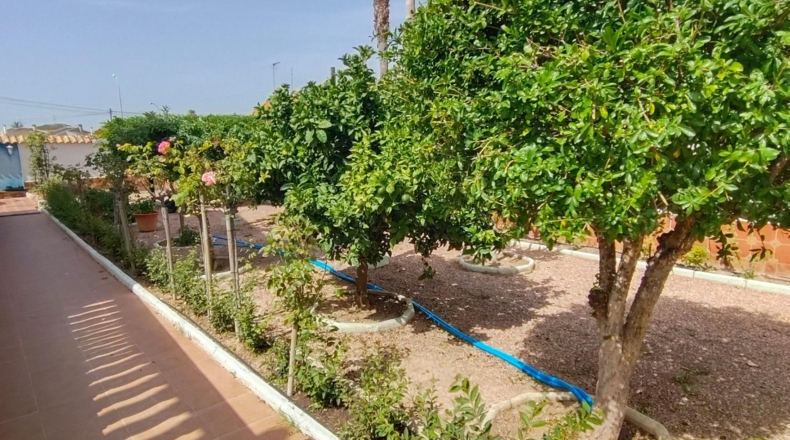 Alicante - Torrevieja - 758m2