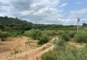 Terreno no urbanizable en venta en la España, Freginals, ref: TR254818 foto