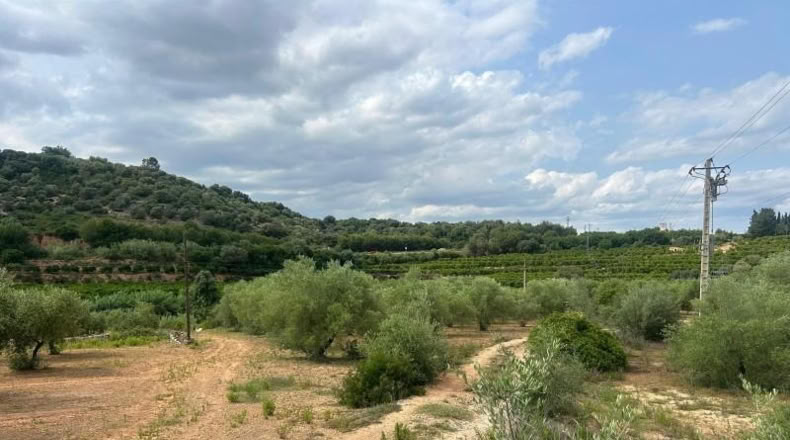 Tarragona - Freginals - 3000m2