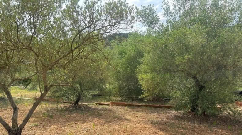 Tarragona - Freginals - 3000m2