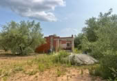 Terreno no urbanizable en venta en la España, Freginals, ref: TR254818 foto