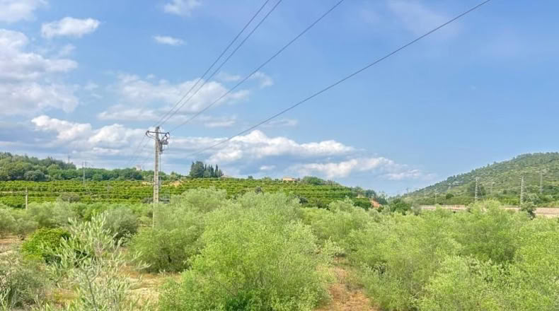 Tarragona - Freginals - 3000m2
