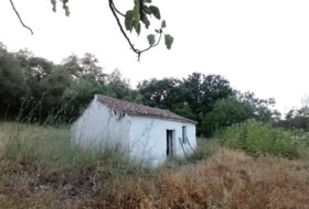 Foto 17
