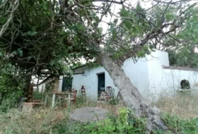 Foto 19