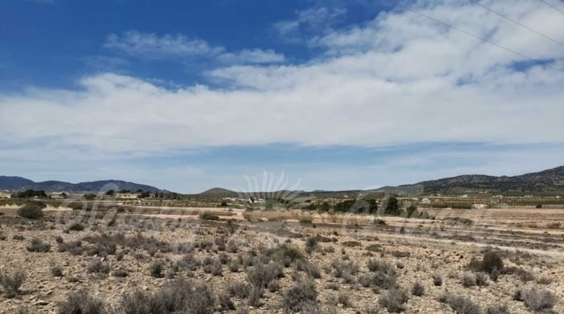 Alicante - Pinoso - 10500m2