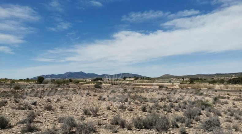 Alicante - Pinoso - 10500m2