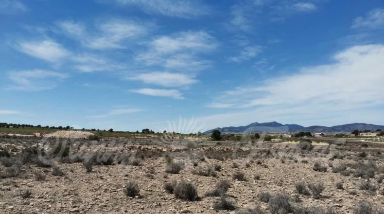 Alicante - Pinoso - 10500m2