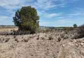 Parcela urbanizable en venta en Pinoso ref: TR415765 foto